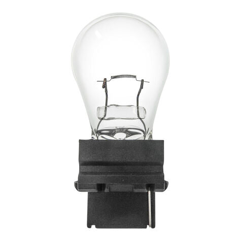 Miniature Bulbs 3156 (10ct)