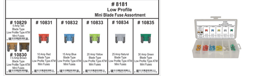 Assortment Fuse Blade Type ATM Low Profile