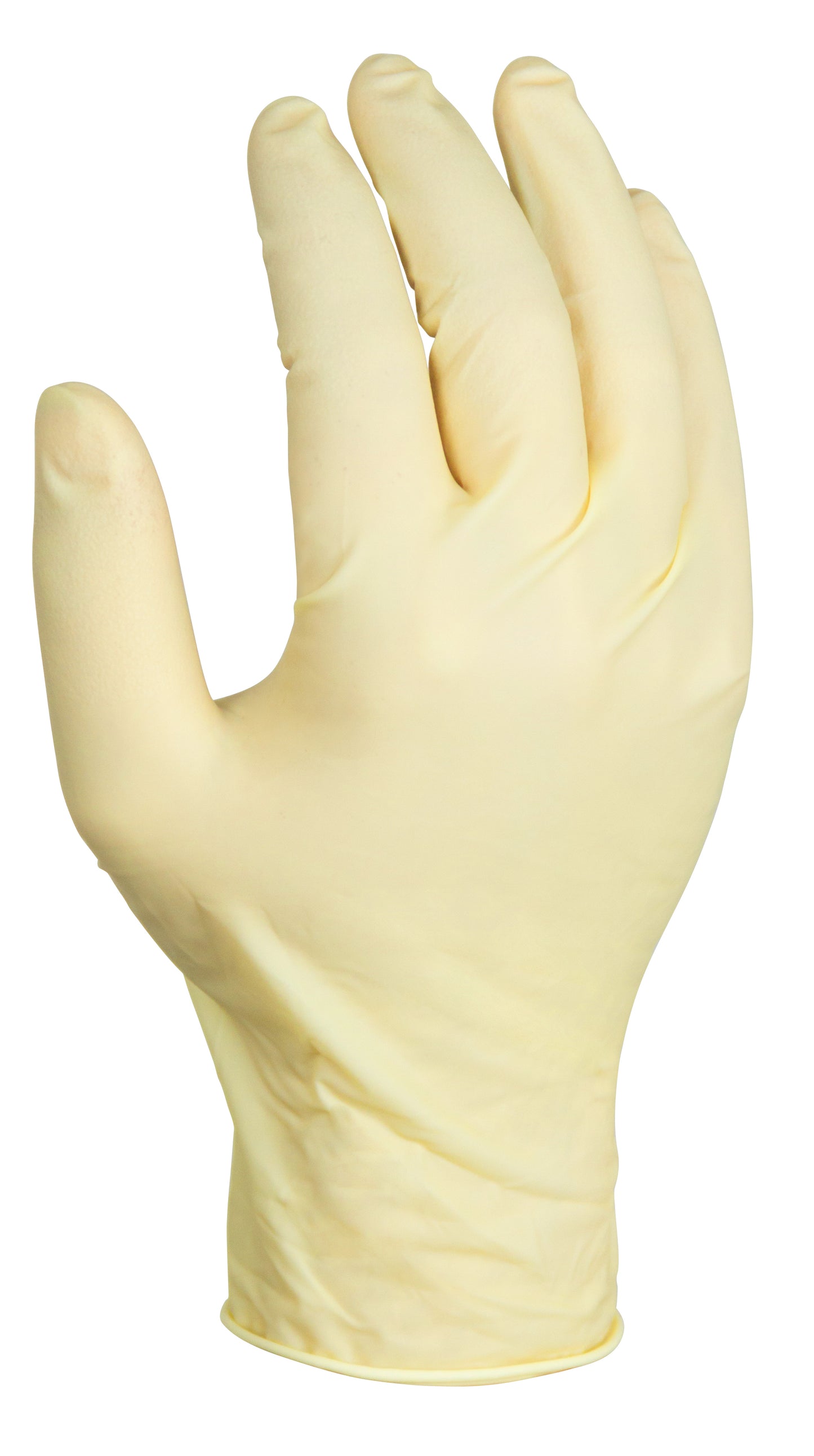 White Latex Glove (8mil) - Box/100 Gloves