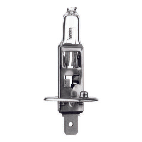 Mini Halogen Bulb H1 (1ct)