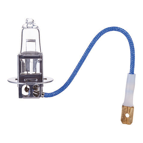 Mini Halogen Bulb H3 (1ct)